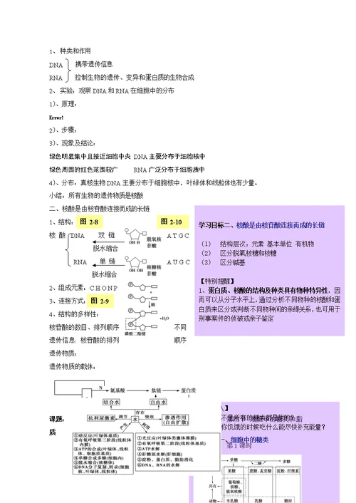 高中生物必修一教案板书讲稿