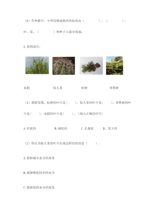 教科版科学四年级下册第一单元《植物的生长变化》测试卷【基础题】.docx