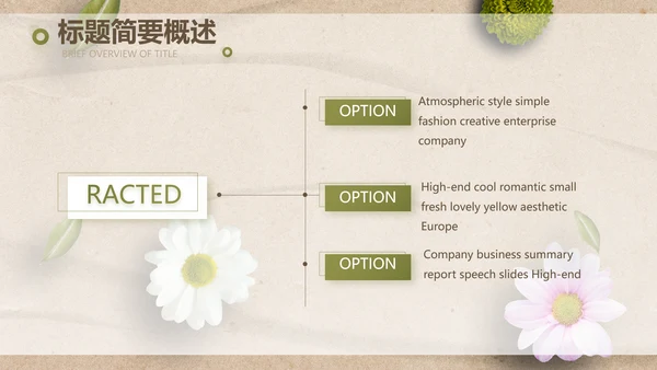 简约SPA美容养生会所工作总结PPT