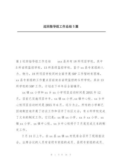 巡回指导组工作总结5篇.docx