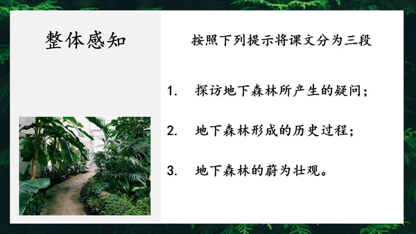 地下森林作家张抗抗作品解读PPT课件