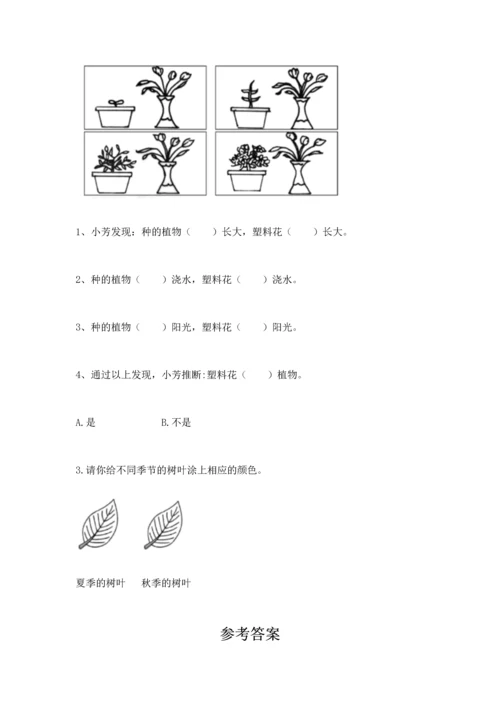 教科版科学一年级上册第一单元《植物》测试卷（考试直接用）.docx