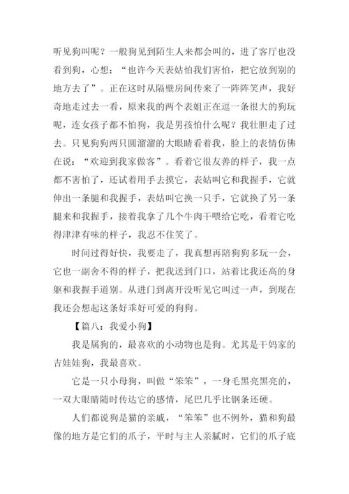 我爱小狗作文400字.docx