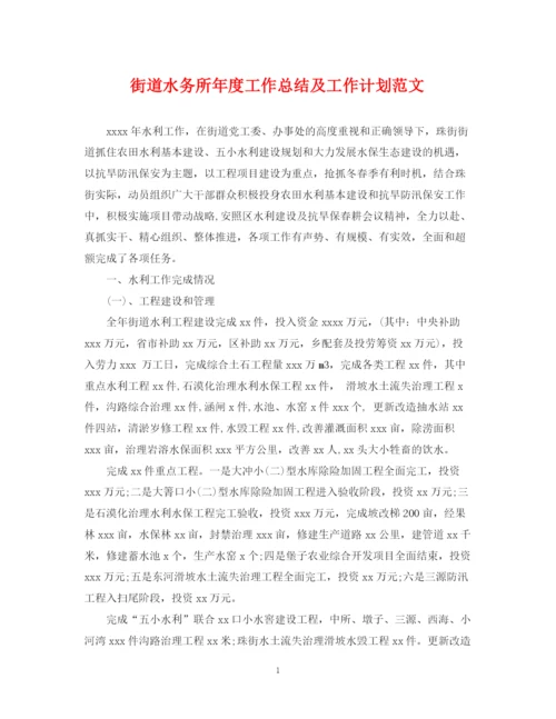 精编之街道水务所年度工作总结及工作计划范文.docx