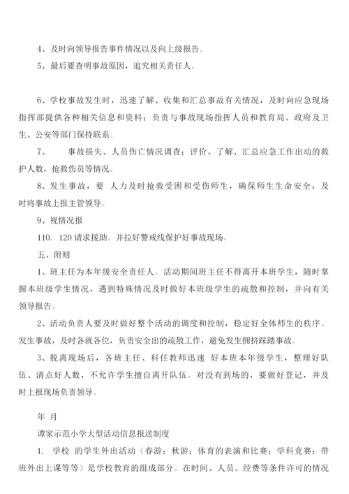 学校大型集会及校外活动安全管理制度(2篇).docx