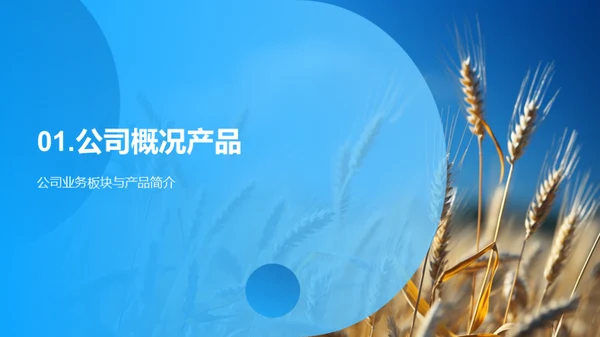 农业技术创新之路