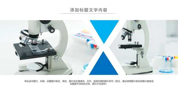 简约医疗生物基因研究动态PPT模板