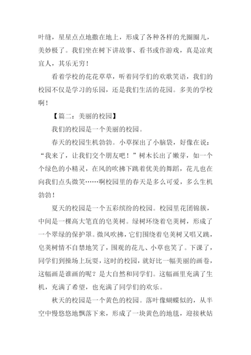 关于校园的作文-2.docx