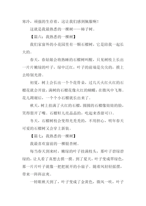 我熟悉的一棵树作文200字.docx