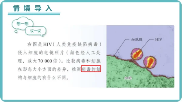 人教版生物七年级上册2.3.4《病毒》课件(共19张PPT)+视频素材