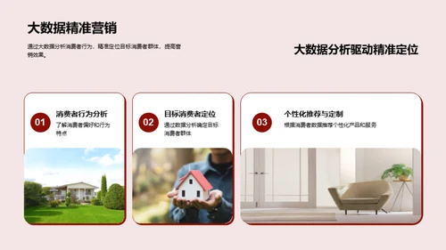 双十二家居消费洞察