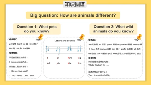 Unit 3 Amazing animals 单元复习课件(共33张PPT)