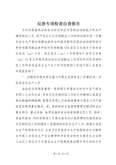 反恐专项检查自查报告.docx