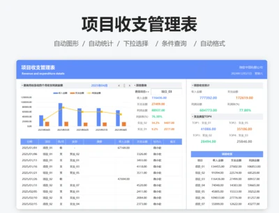 项目收支明细管理表