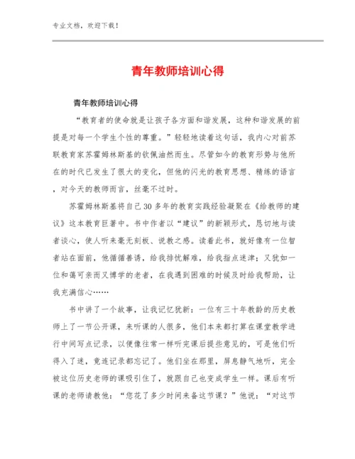 2024青年教师培训心得优选范文19篇文档汇编.docx