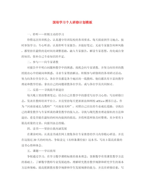 精编之国培学习个人研修计划模板.docx