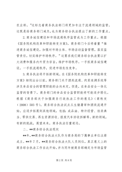 商务执法工作调研报告范文.docx