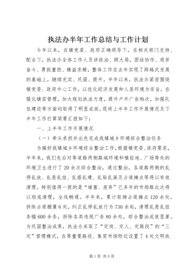 执法办半年工作总结与工作计划.docx