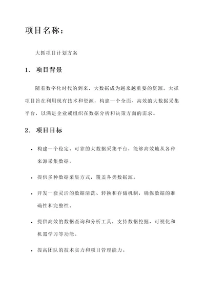 大抓项目计划方案