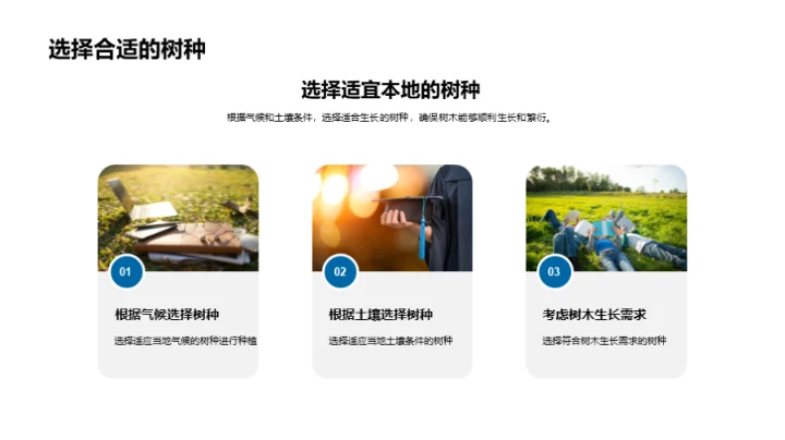植树节生态行动