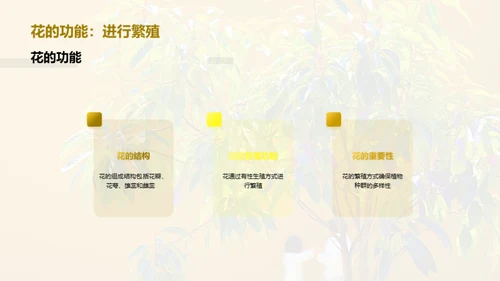 商务风教育培训教学课件PPT模板