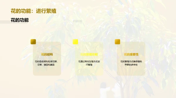 商务风教育培训教学课件PPT模板