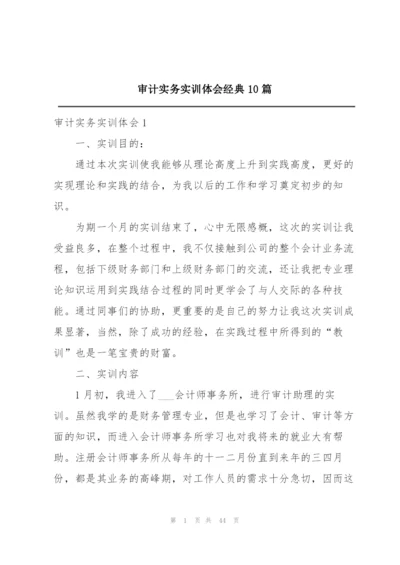 审计实务实训体会经典10篇.docx