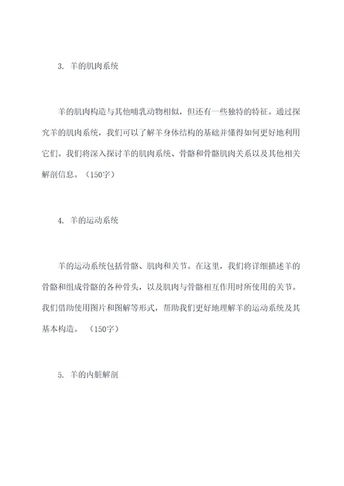 解剖羊的提纲