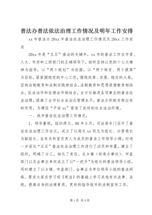 普法办普法依法治理工作情况及明年工作安排.docx