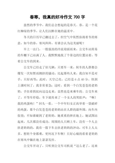 春寒-我真的好冷作文700字.docx