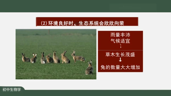 1.2.2 生物与环境组成生态系统 课件（共25张PPT）