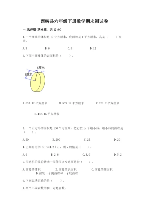 西畴县六年级下册数学期末测试卷完整答案.docx