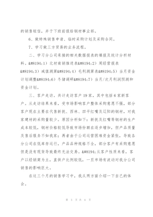 销售转正工作总结范文.docx