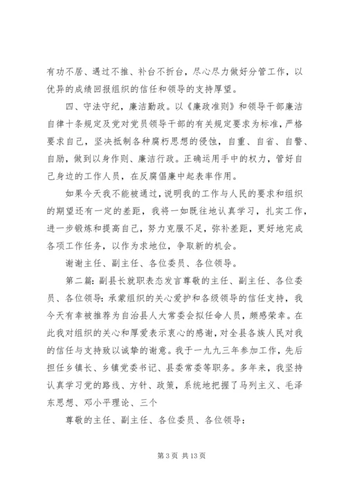 副县长就职表态发言_1.docx