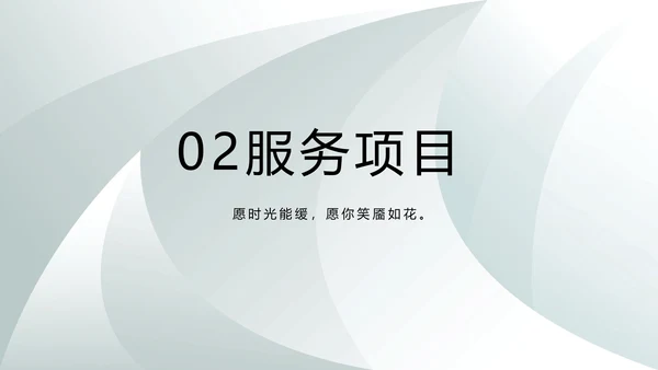 高端品牌介绍策划方案工作总结计划PPT