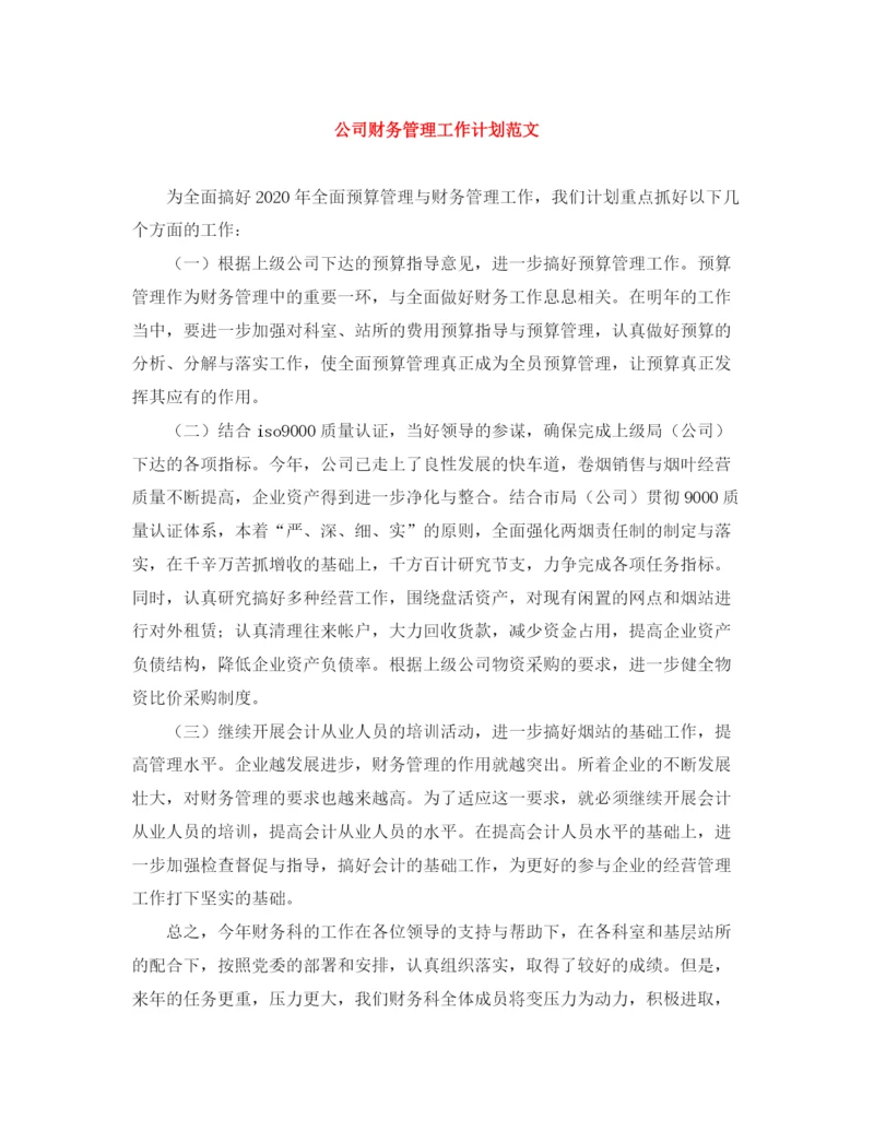 精编之公司财务管理工作计划范文.docx