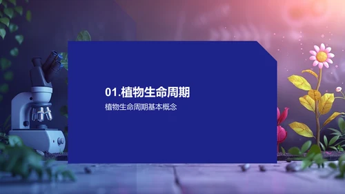 植物生长报告PPT模板