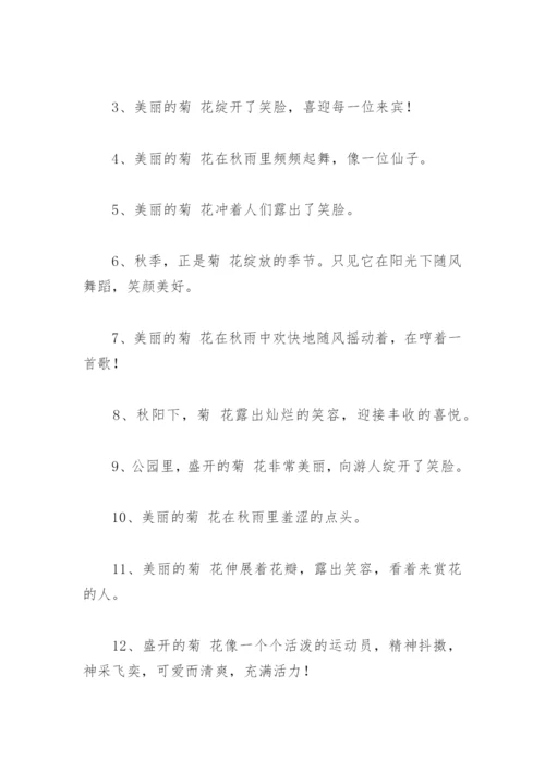 描写菊花拟人句 描写菊花比喻拟人句(精选31句).docx