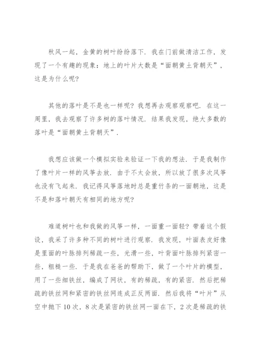 实用的小论文作文锦集六篇.docx