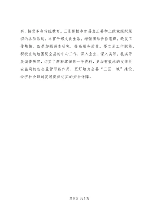 书记抓党建工作自查自评报告.docx