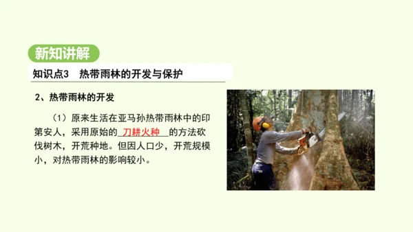 10.2.2 热带雨林的开发与保护（课件31张）-2024-2025学年七年级地理下学期人教版(20