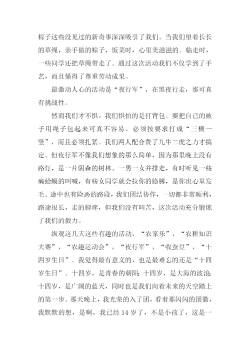 展望未来作文800字.docx