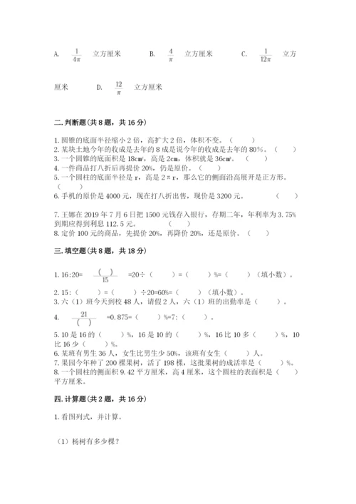 北京版六年级下册数学期中测试卷精华版.docx