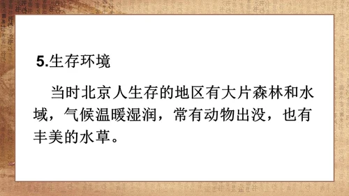 初中历史《人类起源》教学通用PPT课件