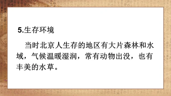 初中历史《人类起源》教学通用PPT课件