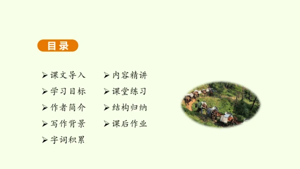第7课 溜索 课件(共37张PPT)-【课堂无忧】新课标同步核心素养课堂