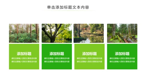 绿色环保森林湿地环境保护生态森林业PPT模板