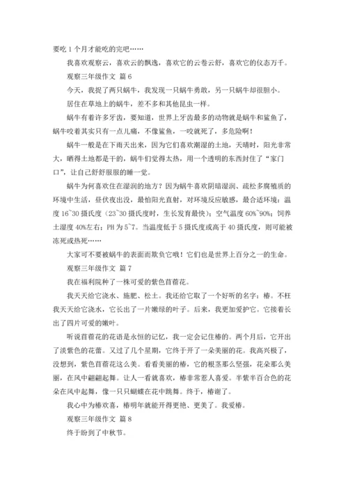 观察三年级作文锦集九篇.docx