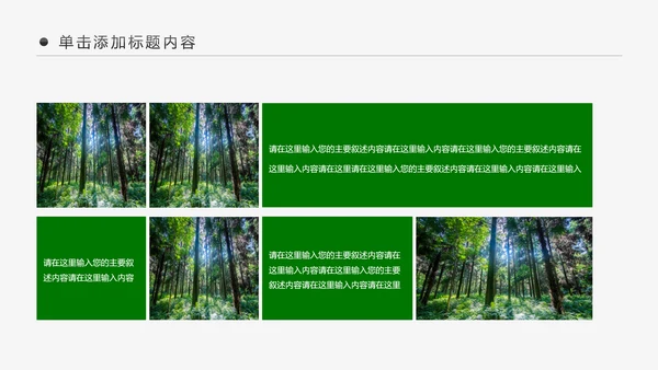绿色森林湿地环境保护生态森林森业PPT模板