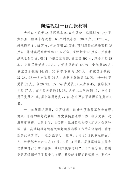 向巡视组一行汇报材料.docx